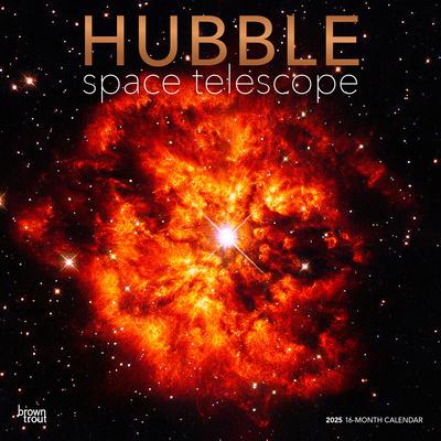 Hubble Space Telescope 2025 12 X 24 Inch Monthly Square Wall Calendar Foil Stamped Cover Plastic-Free