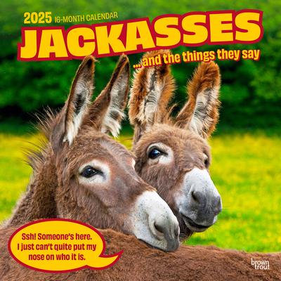 Jackasses 2025 12 X 24 Inch Monthly Square Wall Calendar Plastic-Free