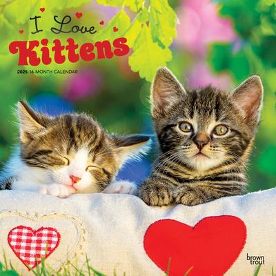 I Love Kittens 2025 12 X 24 Inch Monthly Square Wall Calendar Plastic-Free