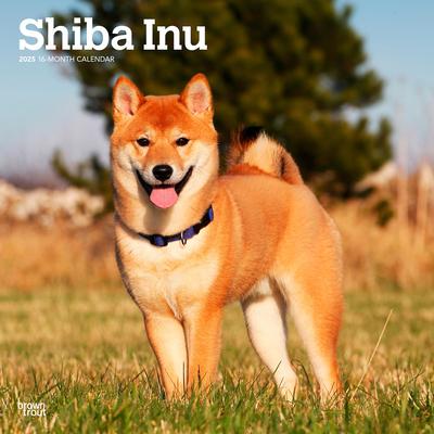 Shiba Inu 2025 12 X 24 Inch Monthly Square Wall Calendar Plastic-Free