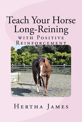 Teach Your Horse Long-Reining with Positive Reinforcement