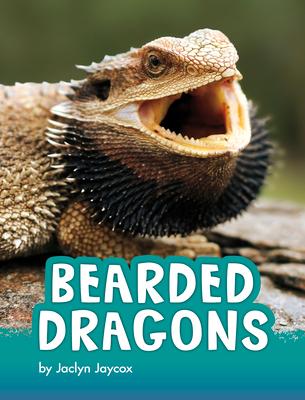 Bearded Dragons Subscription