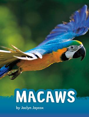 Macaws