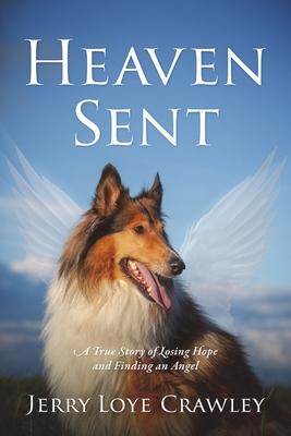 Heaven Sent: A True Story of Losing Hope and Finding an Angel