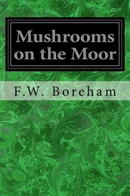 Mushrooms on the Moor