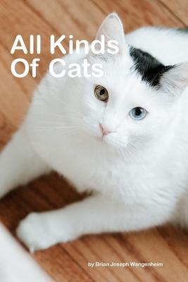 All Kinds Of Cats: beautiful pictures of cats