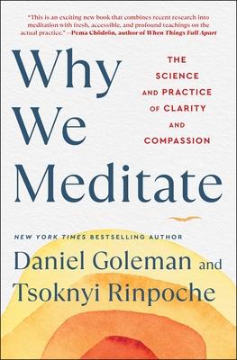 Why We Meditate: The Science and Practice of Clarity and Compassion