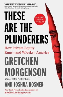 These Are the Plunderers: How Private Equity Runs -- And Wrecks -- America