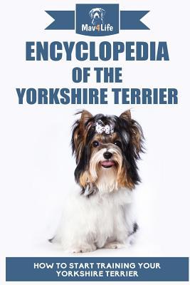 Encyclopedia of the Yorkshire Terrier: How to Start Training Your Yorkshire Terrier