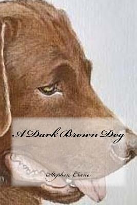 A Dark Brown Dog