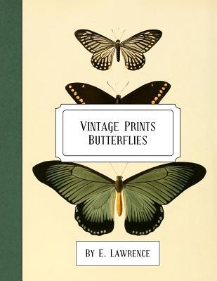 Vintage Prints: Butterflies