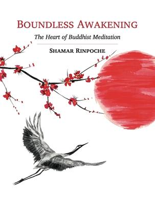 Boundless Awakening: The Heart of Buddhist Meditation