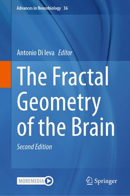 The Fractal Geometry of the Brain