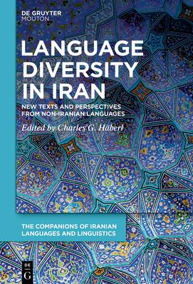 Language Diversity in Iran: New Texts and Perspectives from Non-Iranian Languages