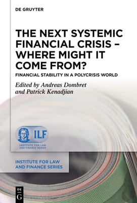 The Next Systemic Financial Crisis - Where Might It Come From?: Financial Stability in a Polycrisis World