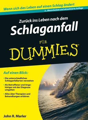 Zurck ins Leben nach dem Schlaganfall fr Dummies Subscription