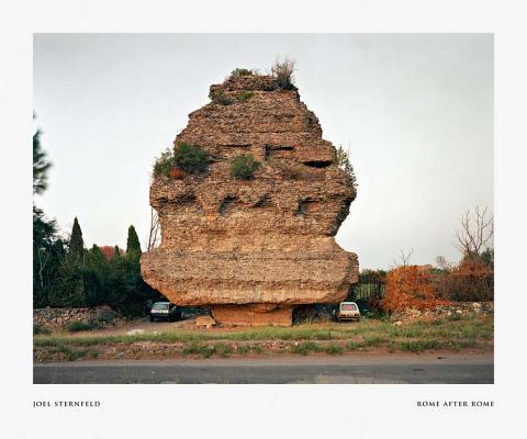 Joel Sternfeld: Rome After Rome