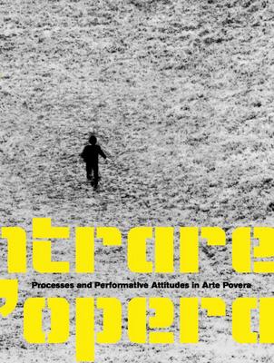 Entrare Nell'opera: Processes and Performative Attitudes in Arte Povera