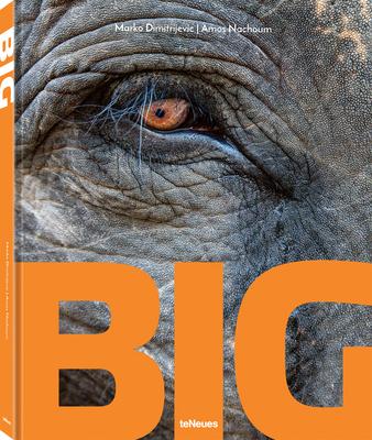 Big: A Photographic Album of the World's Largest Animals