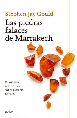 Las Piedras Falaces de Marrakech: Penltimas Reflexiones Sobre Historia Natural / The Lying Stones of Marrakech