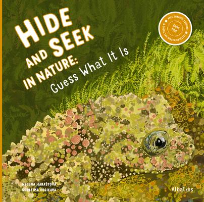 Hide and Seek in Nature: Guess What It Is