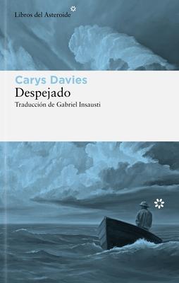 Despejado Subscription
