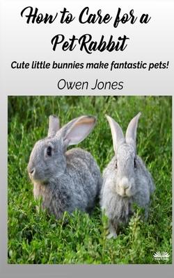 How To Care For A Pet Rabbit: Cute Little Bunnies Make Fantastic Pets!