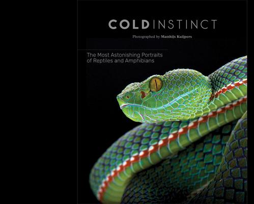 Matthijs Kuijpers: Cold Instinct