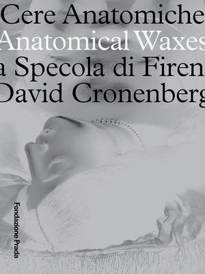 Anatomical Waxes: La Specola Di Firenza David Cronenberg