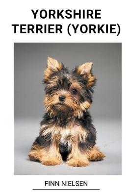 Yorkshire Terrier (Yorkie)