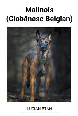 Malinois (Ciob&#259;nesc Belgian)