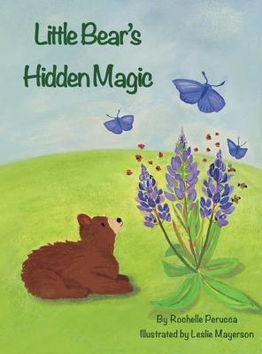 Little Bear's Hidden Magic