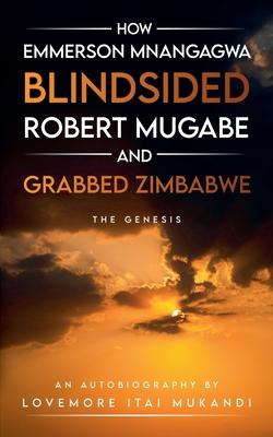 How Emmerson Mnangagwa Blindsided Robert Mugabe and Grabbed Zimbabwe - The Genesis