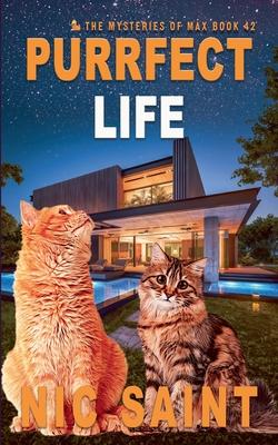 Purrfect Life Subscription