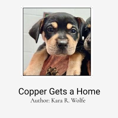 Copper Gets a Home: A Decodable Text Subscription