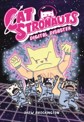 Digital Disaster Subscription