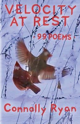 Velocity at Rest: 99 Poems