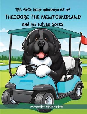 The First Year Adventures Of Theodore The Newfoundland And His White Socks