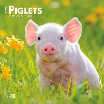 Piglets 2027 7 X 14 Inch (Hanging) Monthly Mini Wall Calendar Subscription