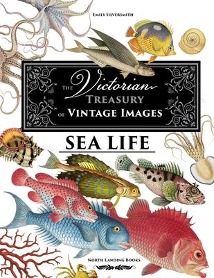 The Victorian Treasury of Vintage Images - Sea Life Subscription