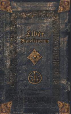 Liber Maleficarum: The mysterious diary of an unknown witch