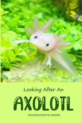 Looking After An Axolotl: Care Instructions for Axolotls Subscription