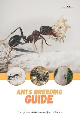 Ants breeding guide: The life and maintenance of ant colonies