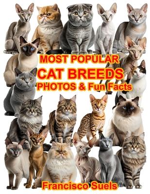 Most Popular Cat Breeds Photos Fun Facts