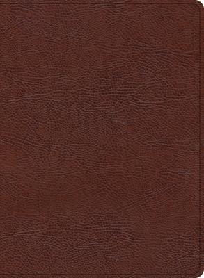 KJV Study Bible, Large Print Edition, Brown Bonded Leather