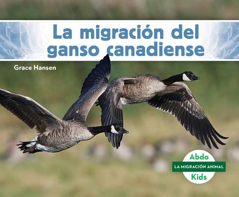 La Migracin del Ganso Canadiense (Canada Goose Migration)