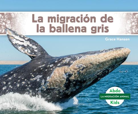 La Migracin de la Ballena Gris (Gray Whale Migration)