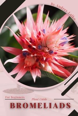 Bromeliads: Plant Guide