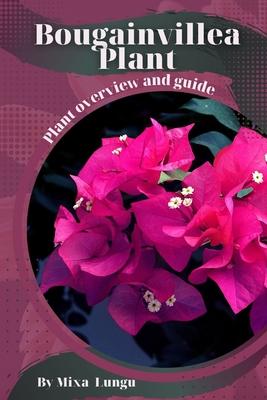 Bougainvillea Plant: Plant overview and guide