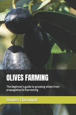 Olives Farming: The beginner's guide to growing olives from propagation to harvesting